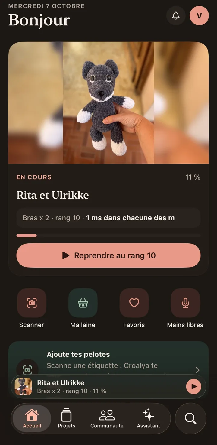 L'accueil de Croalya en mode sombre : l'ouvrage « Rita et Ulrikke » en photo, à 11 %, avec le rang 10 et le bouton « Reprendre au rang 10 », les raccourcis Scanner, Ma laine, Favoris et Mains libres, et l'ouvrage en cours rappelé au-dessus des onglets.